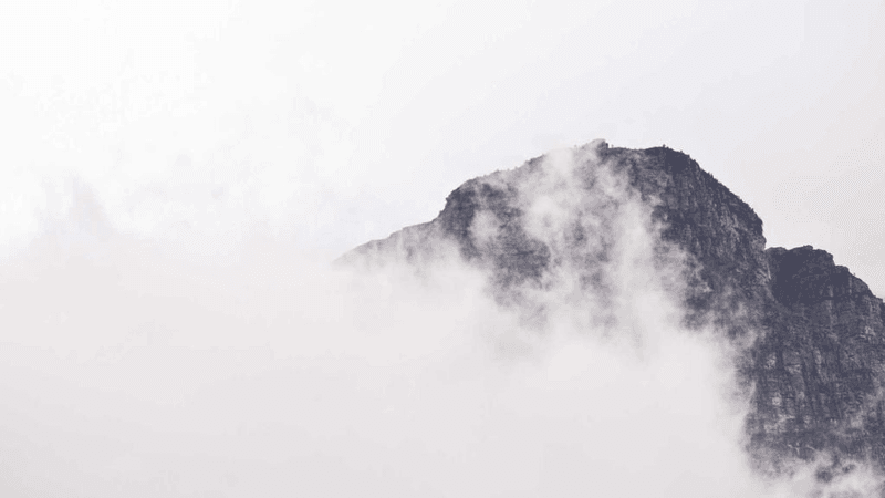 Bonsai - professional stock photography