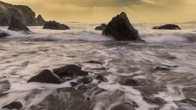 Bonsai - professional stock photography