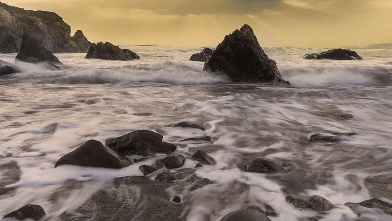 Bonsai - professional stock photography