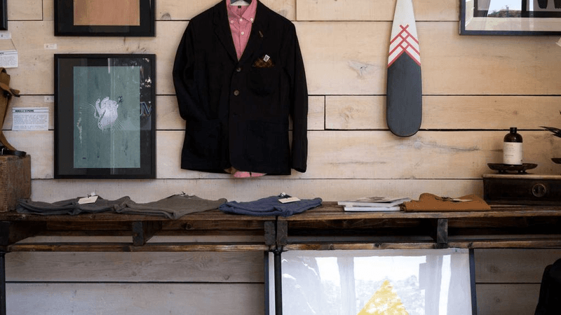 Cactus - professional stock photography