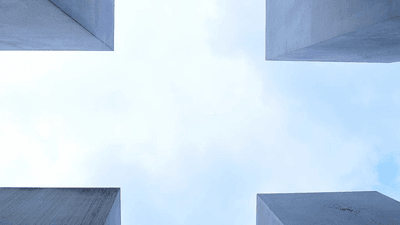 Cactus - professional stock photography