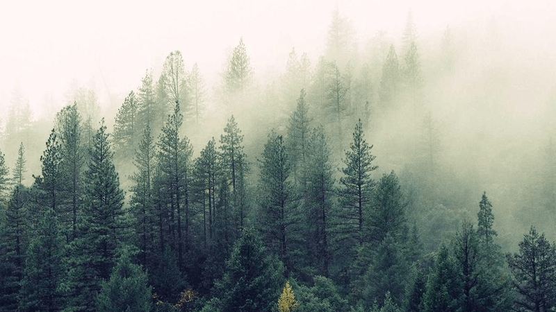 Compost - professional stock photography