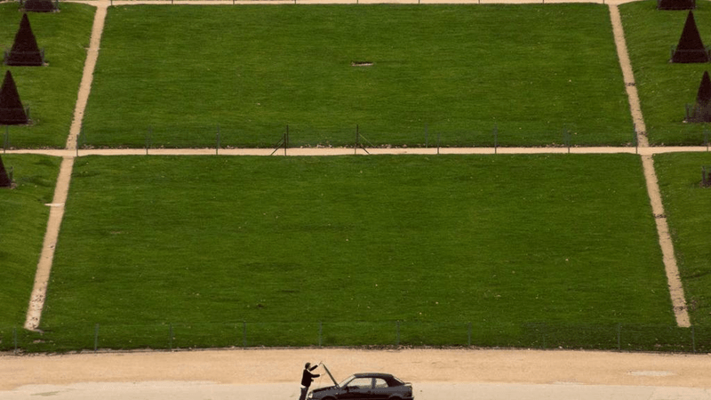 Flowers - professional stock photography