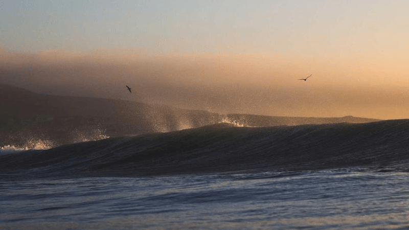 Greenhouse - professional stock photography