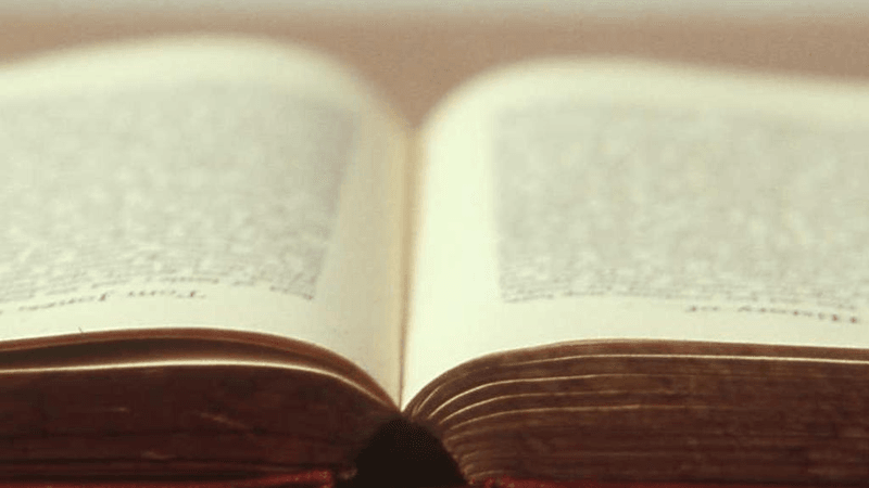 Greenhouse - professional stock photography