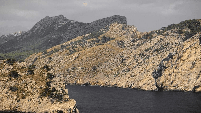 Herbs - professional stock photography