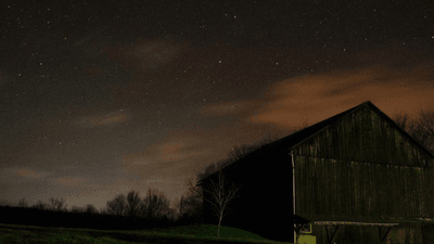 Herbs - professional stock photography