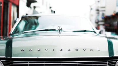 Lavender - professional stock photography