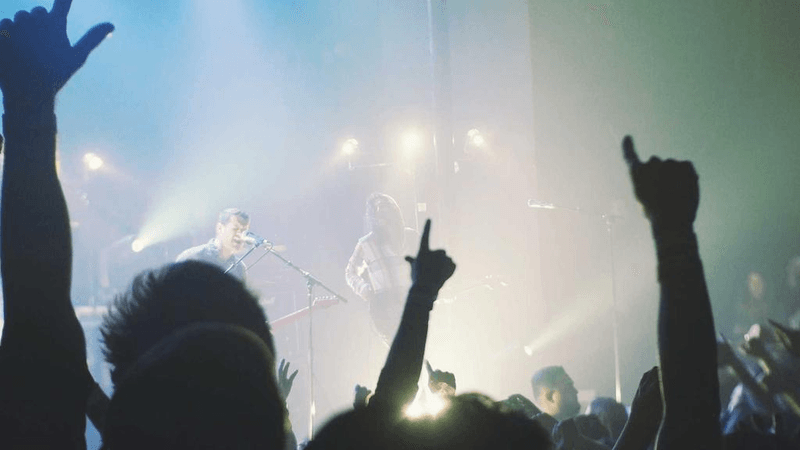 Lavender - professional stock photography