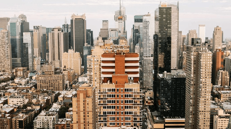 Mint - professional stock photography