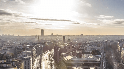 Mint - professional stock photography