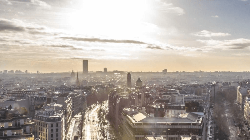 Mint - professional stock photography