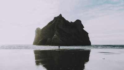 Mint - professional stock photography