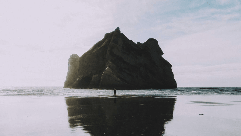 Mint - professional stock photography