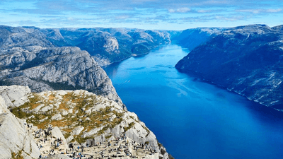 Mint - professional stock photography