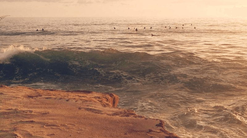 Potted - professional stock photography