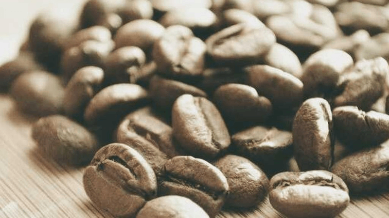 Potted - professional stock photography