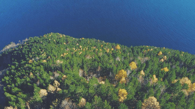 Potted - professional stock photography