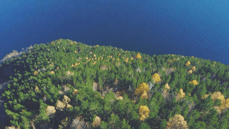 Potted - professional stock photography