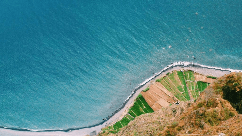Potted - professional stock photography