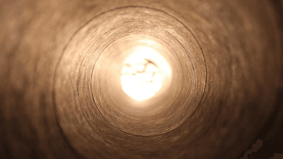 Potted - professional stock photography