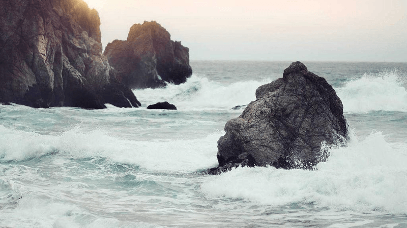 Pruning - professional stock photography