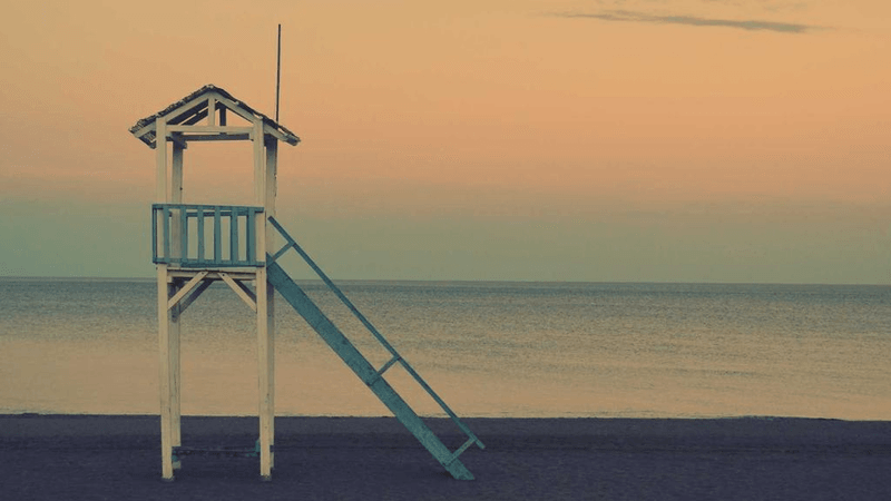 Roses - professional stock photography