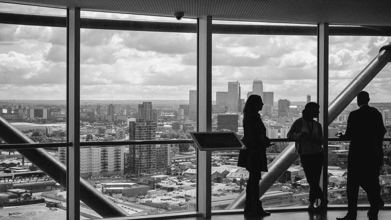 Roses - professional stock photography