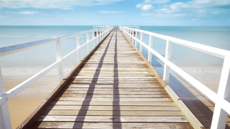 Roses - professional stock photography