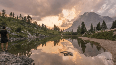 Seeds - professional stock photography