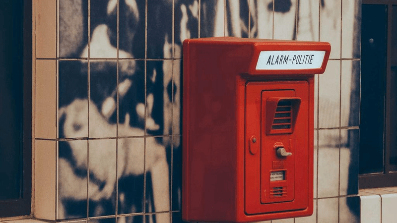Seeds - professional stock photography