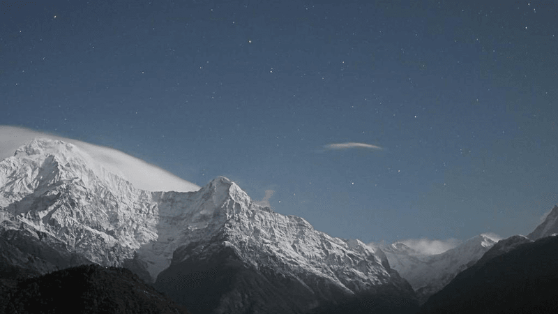 Seeds - professional stock photography