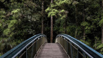 Seeds - professional stock photography