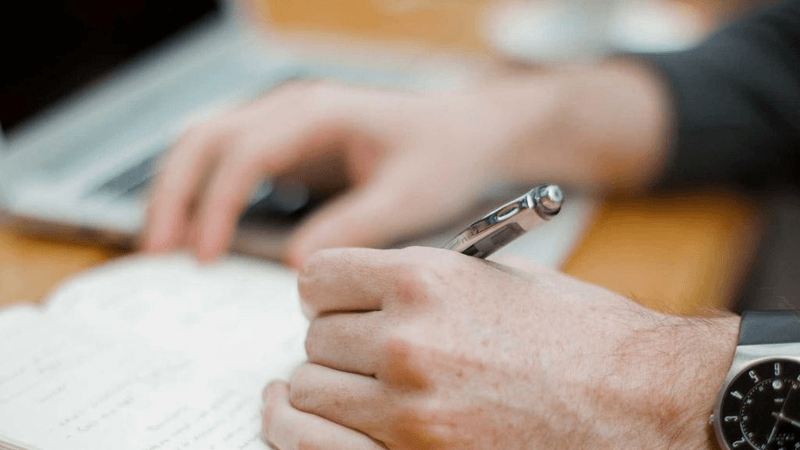 Succulent - professional stock photography