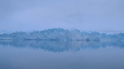 Succulent - professional stock photography