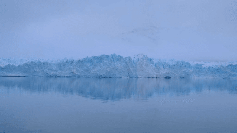 Succulent - professional stock photography