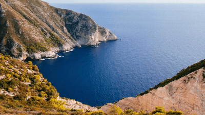 Sunflower - professional stock photography