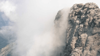 Tomato - professional stock photography