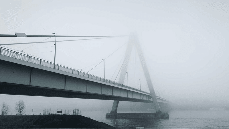 Tomato - professional stock photography