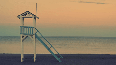 Tomato - professional stock photography