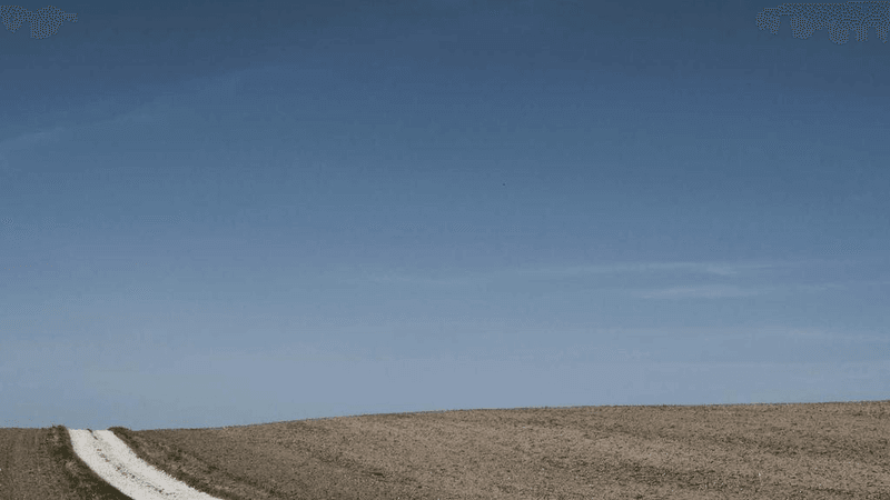 Tomato - professional stock photography