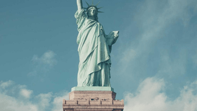 Tulips - professional stock photography