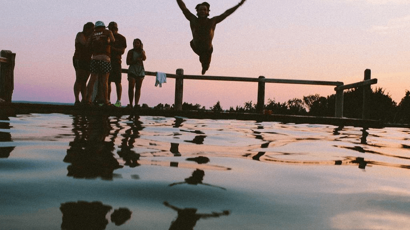 Tulips - professional stock photography