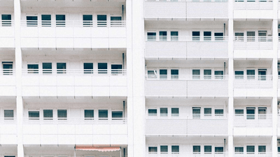 Vegetables - professional stock photography