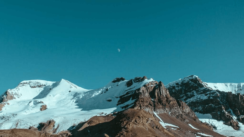 Vegetables - professional stock photography