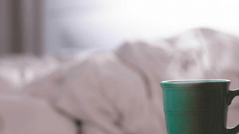 Vegetables - professional stock photography