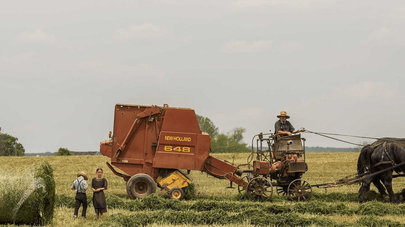Watering - professional stock photography