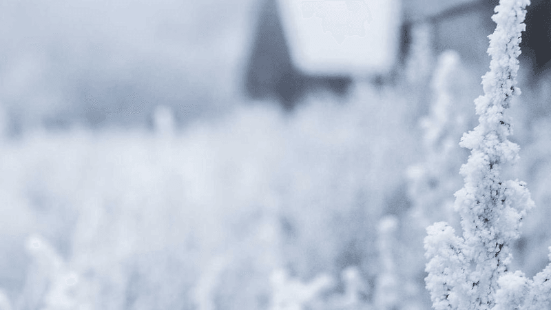 Watering - professional stock photography