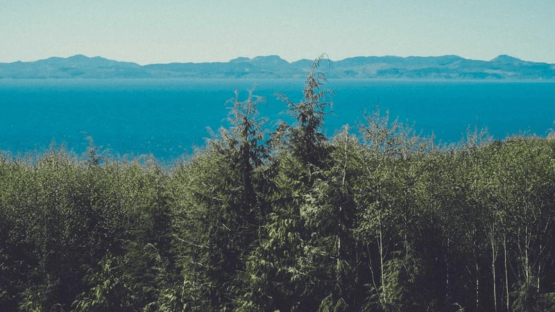 Watering - professional stock photography